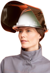 Tarcza ochronna, Zielony, PC, Twarz, odporność na: Wysoka temperatura