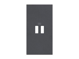 LIVING NOW Plakietka ładowarki USB - 2 moduły - czarna KG12C LEGRAND