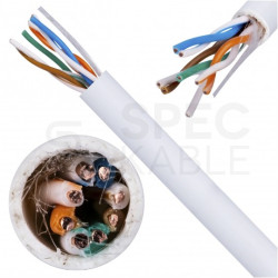 Kabel sieciowy U/UTP kat.5e skrętka 4x2x0,47mm wewnętrzny Eca PVC biały DOMNET