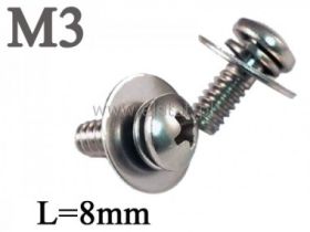 Śruba M3x8mm (+) i podkładka x2 walcowy ( zestaw )