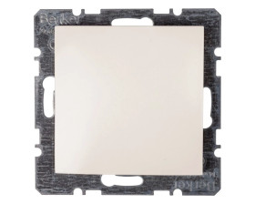 Berker/B.Kwadrat Zaślepka z elementem centralnym S.1 kremowa 6710098982