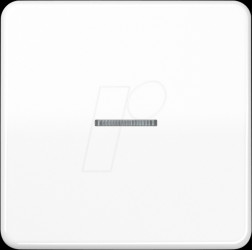 BTCD17101WW Bluetooth pushbutton, single, alpine white