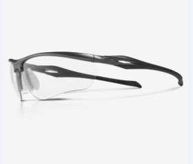 Okulary ochronne Riley Okulary Szary Ramiona