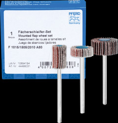 44498031 Flap wheel grinding tools SET F 1015/1505/2010 A 80