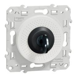 Wyłącznik kluczykowy IP21D, 10A