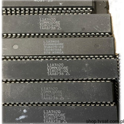 318075-02 L1A3420 Commodore Amiga DIP48 CSG USED