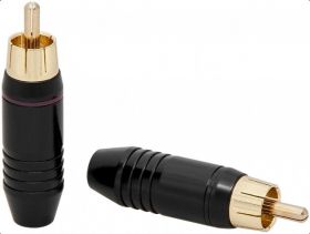 WTYK RCA CH21 PROF.SR.6MM