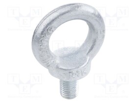 DIN580-M36-ST