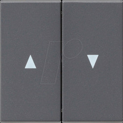 029428 Rocker switch, two-way + arrow, anthracite