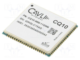 CQ10-WW-11GNN