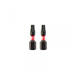 BIT, GROT, KOŃCÓWKA TORX TX20 25MM 2 SZT.