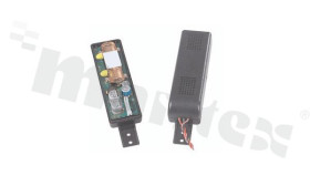 AAS-T8031