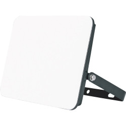 Müller-Licht 21600073 Orlando LED Outdoor Floodlight 30W Neutral White