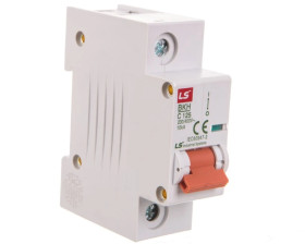 Wyłącznik nadprądowy 1P C 125A 10kA AC BKH 06110332R0