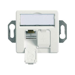 Telegärtner 100022957 Network outlet CAT6A 2 ports Alpine white
