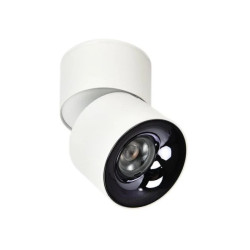 Reflektorek ruchomy natynkowy Brema biały wyposazona w LED CCT LP-2626/1RM WH movable Light Prestige