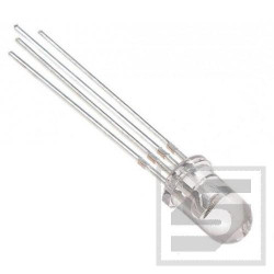 Dioda LED 5mm RGB czerw./ziel./nieb ws.katoda HH-500CRGBC503;clir;RoHS