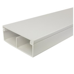 Listwa 50x18:2 STRÓŻA z przegrodą LS 50x18:2(2m)