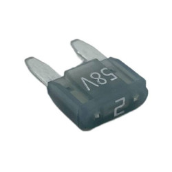 HansorASP-M02 Mini blade-type fuse 2A Grey 1 piece Car Fuse Automotive