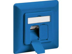 Gniazdo ścienne CAT 6a 2x RJ45 niebieskie
