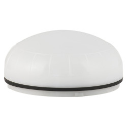 90506 XLF S PROXIMITY BIAŁY