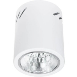 Oprawa Sufitowa Natynkowa Stała Okrągła APUS 10 Spot TUBA Biała E27