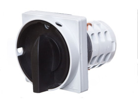 Łącznik krzywkowy Łuk E25-45 L-0-P 952548 ELEKTROMET