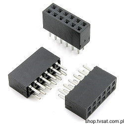 094-2-012-0-NSX-YS0 Socket 2 x 6 Pin THT MPE-GARRY