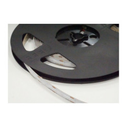 Taśma LED 12V COB NIEBIESKA 480 9W/m IP20 / EcoLight EC20303