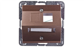 Impresja Obudowa Gniazda Komputerowego Pojedynczego Skośna Złoty Metalik...