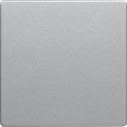 Klawisz do łącznika 1-klawiszowego, alu aksamit, lakierowany