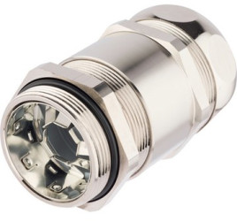 Straight hose screw fitting, M40, 36 mm, brass, nickel-plated, IP40/IP65, metal, (L) 75.5 mm, 55506125