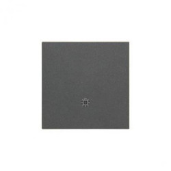 Simon 55 Klawisz pojedynczy z piktogramem światło do: SP1M Grafitowy mat TKWS1/116