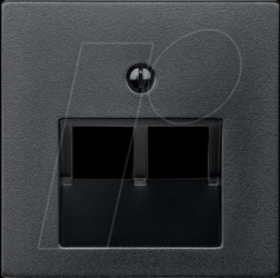 298014 Central plate for UAE insert - 2-gang, System M, anthracite