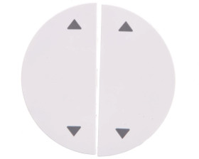 Berker R.1/R.3 Klawisze z nadrukiem symbolu strzałki biały połysk 16442089