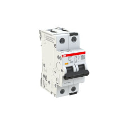 Wyłącznik miniaturowy, Typ C, 2-biegunowy, 4 A, 415 V ac, 125 V dc, ABB, S302 100 kA