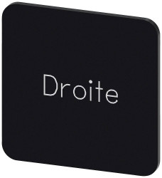 Tabliczka opisowa Siemens 3SU1900-0AF16-0GG0 (S x W) 22 mm x 22 mm Droite 10 szt.