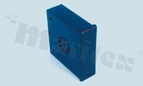 GPF21B