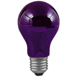 Paulmann 59070 UV Light Bulb E-27 75W Black Light Disco Effect
