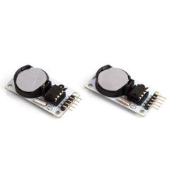DS1302 Real-Time Clock Module / with Battery CR2032 (2 pcs)