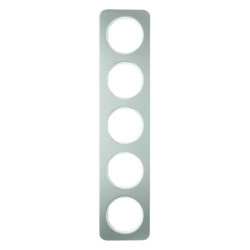 Berker R.1 Ramka 5-krotna stal szlachetna/biały 10152114