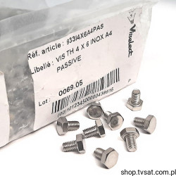 M4X6/D933-A4 M4X6/DIN933 ISO4017 SCREW VISSE