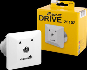 25102 Key-Operated Switch, Flush-Mounted