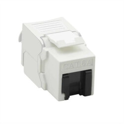 VALUE Cat.6A (Class EA) Keystone, RJ-45, nieekranowany, srebrny, beznarzędziowy, biały