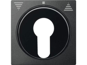 MERTEN SYSTEM M Płytka czołowa mechanizmu wyłącznika żaluzjowego z kluczem DIN antracytowy MTN319314 SCHNEIDER ELECTRIC