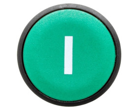 Przycisk sterowniczy 22mm zielony z samopowrotem 1Z XB7NA3131