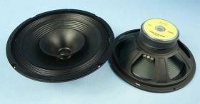 10MA-250-C8HW 8 OM 300W 10' GŁOŚNIK