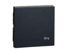 MERTEN Klawisz System M pojedynczy z oznaczeniem ''klucz'' antracytowy MTN3303-0414 SCHNEIDER ELECTRIC