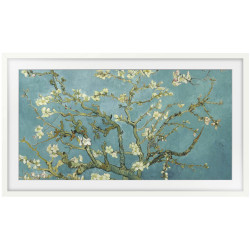 Samsung VG-SCFC32WTBXC Frames Flatscreen TV accessory in wood finish