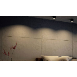 Philips 533003016 Phase Surface LED Light Black 4.5W Warm White Dimmable